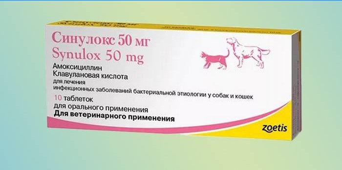 Sinulox-tabletten in verpakking