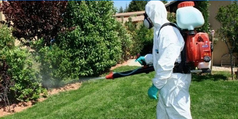 Voorzorgsmaatregelen voor het omgaan met pesticiden