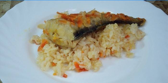 Gestoofde vis met groenten en rijst