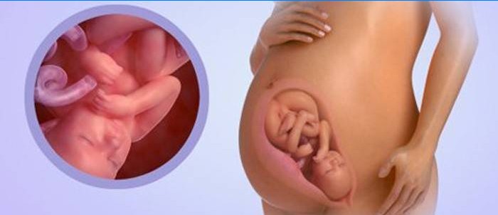 Baby op 38 weken zwanger