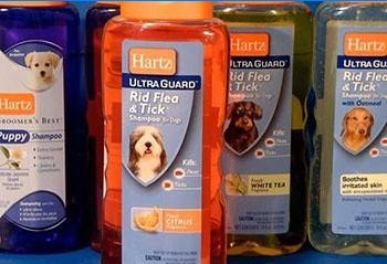 Vlooien- en teken-shampoos voor honden