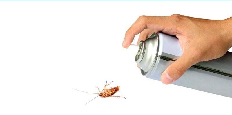 Kakkerlakken spray in de hand