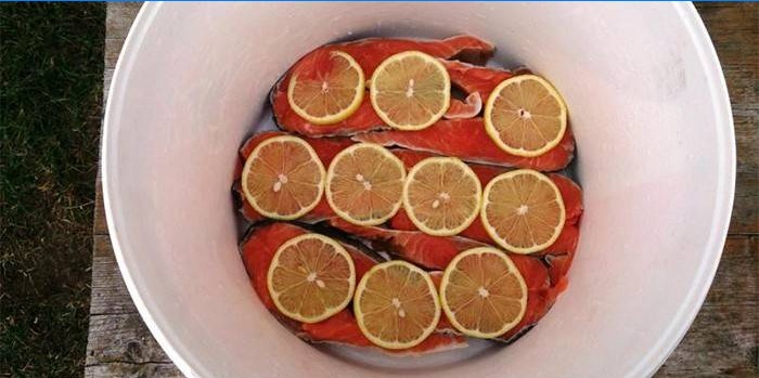 Rode vis onder de marinade met citroen