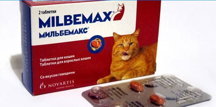 Pillen voor katten Milbemax in het pakket
