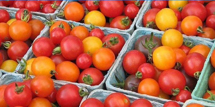 Tomaten voor de oogst