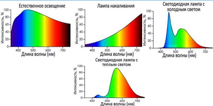 De stralingsintensiteit van verschillende lichtbronnen