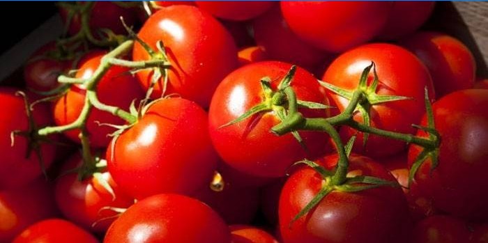 Tomaten Yablonka van Rusland