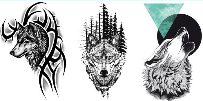 Wolf tekeningen
