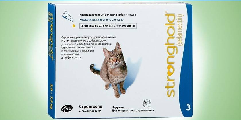 Betekent voor katten Selamectin