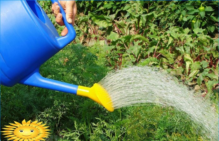 De tuin correct water geven