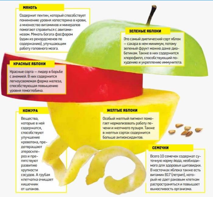 De voordelen van appels van verschillende variëteiten