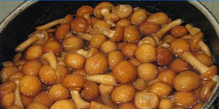 Champignons in een pan