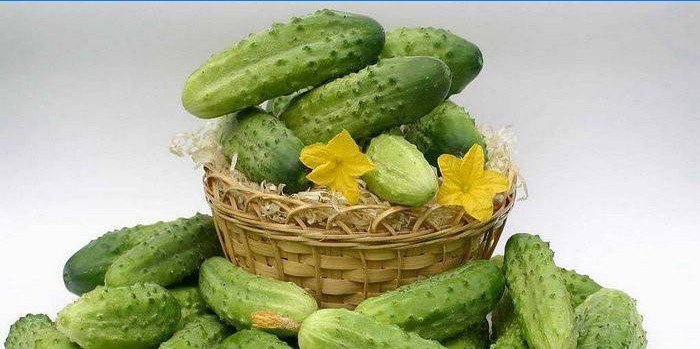 Greenhouse komkommers
