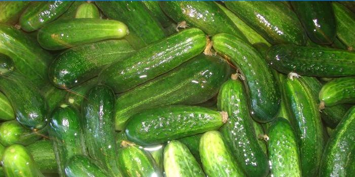 Komkommersoorten voor conservering
