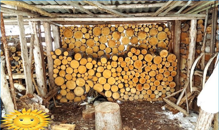 Opslag van brandhout onder een luifel