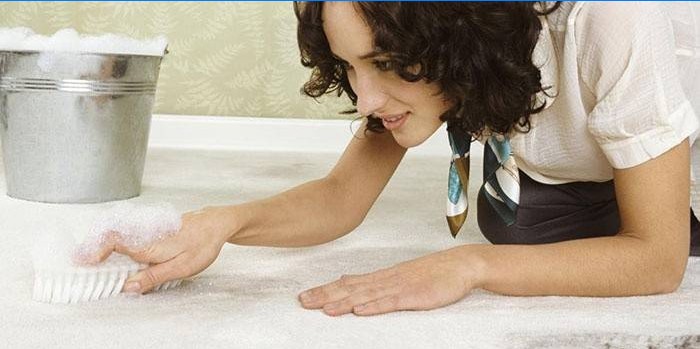 Meisje reinigt het tapijt van de geur van urine