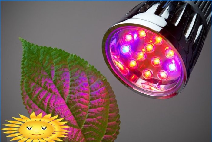 Lampen voor plantzaailingen: een overzicht, tips om te kiezen