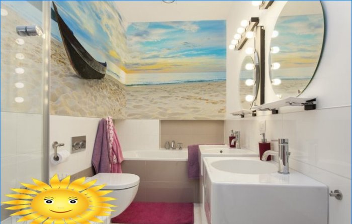 Ontwerp en decoratie van de gecombineerde badkamer: 20 foto-ideeën