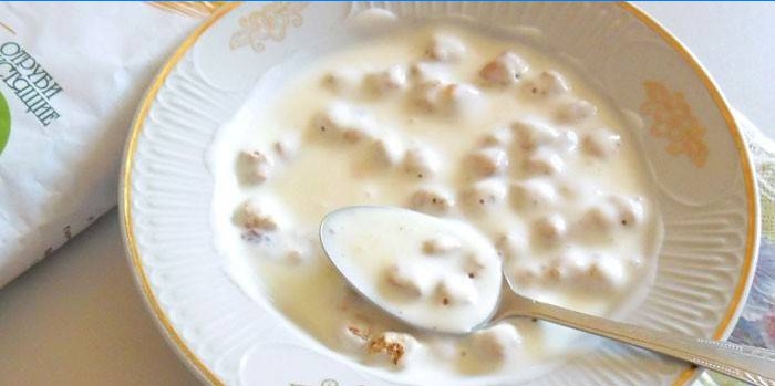 Met zelfgemaakte yoghurt in een bord