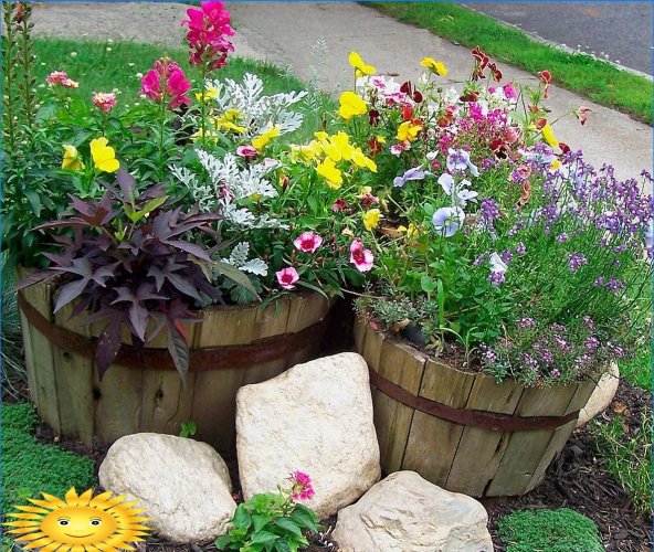Tuindecoratie met bloeiende planten in bakken en potten