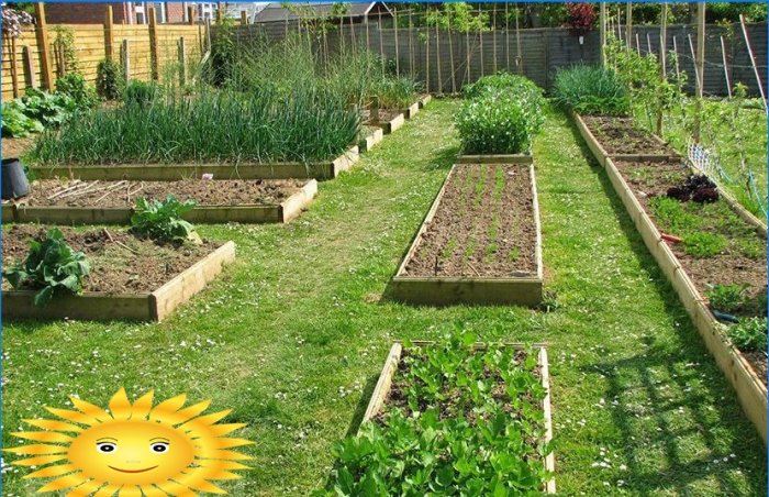 Tuinindeling - maak je klaar om groenten in de bedden te planten