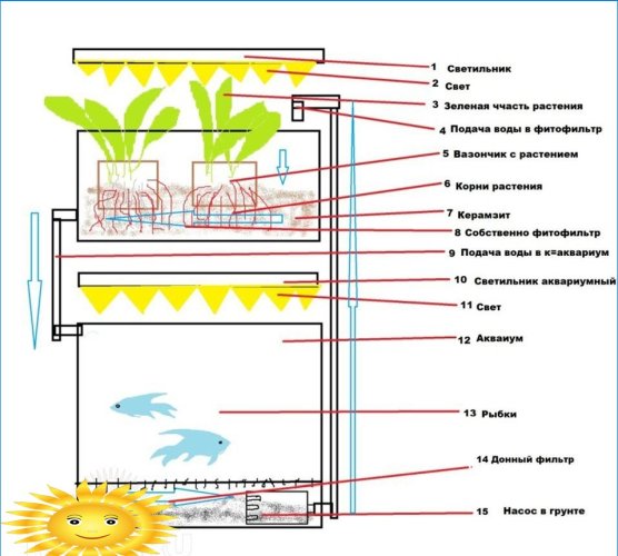 Schematisch diagram van aquaponics