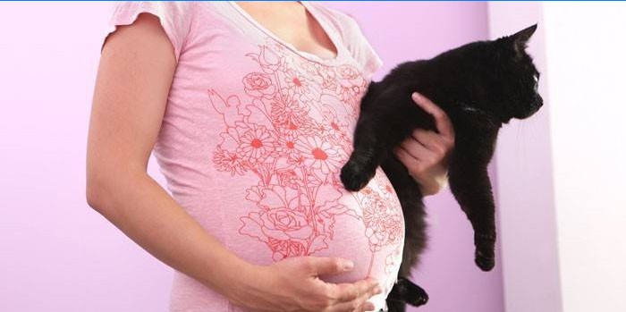 Zwanger meisje met kat