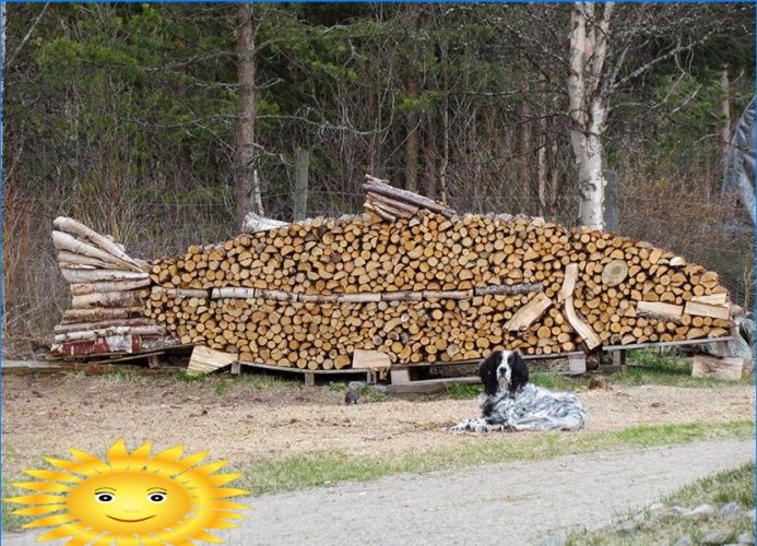 Brandhout gestapeld in de vorm van een vis