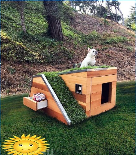 Eco-box voor een hond van de firma Schicketanz