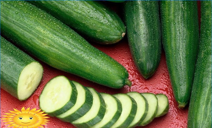 De meest populaire soorten komkommers