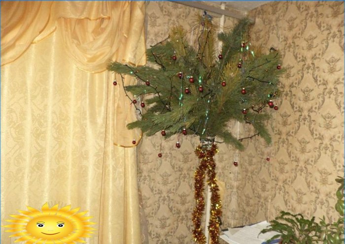 De kerstboom beschermen tegen kinderen en katten