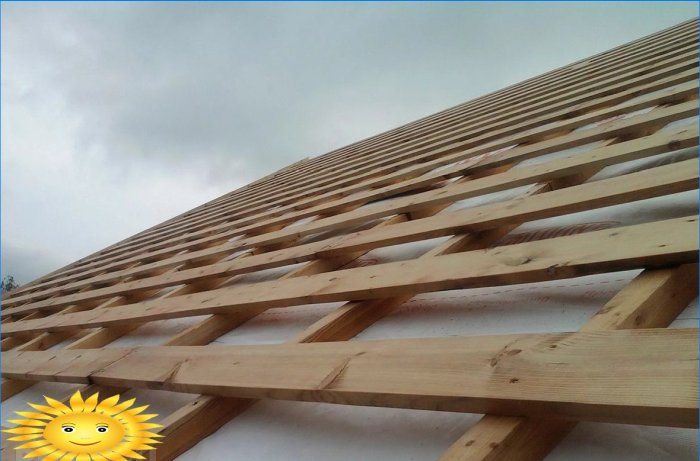 Leisteen gordelroos: de voor- en nadelen van het dak