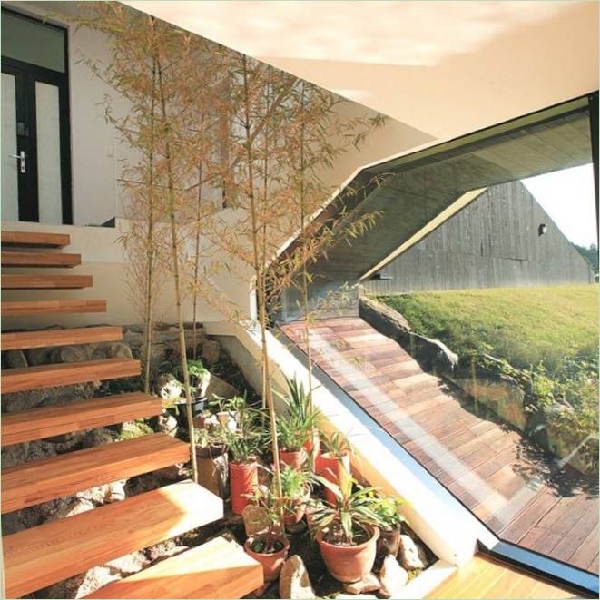 De houten treden van de trap contrasteren met de glazen wand van Villa Troojet