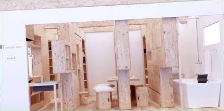 Multiplex in het interieur van het huis: een scheidingswand voor de badkamer en het toilet