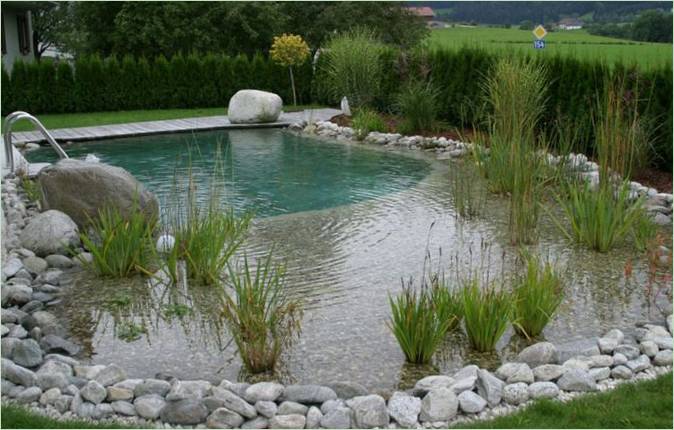Zwembaddecoratie met natuurlijke planten