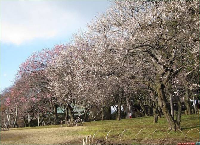 Kairaku-en tuinen in Mito