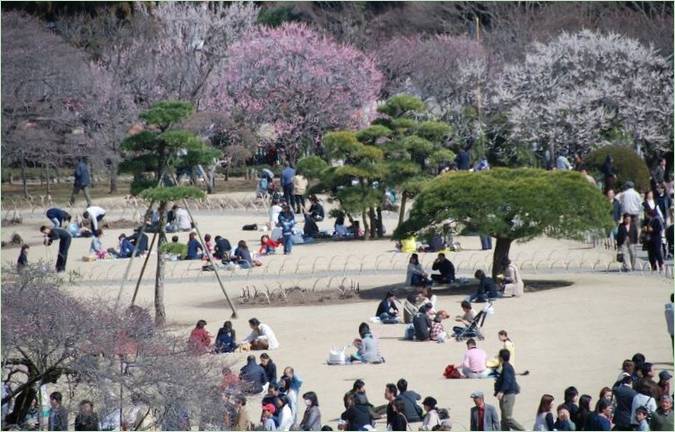 Kairaku-en Gardens in de stad Mito