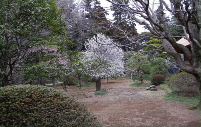 Kairaku-en tuinen in Mito