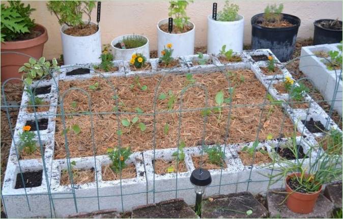 Blokken in de tuinarchitectuur: een bed voor zaailingen