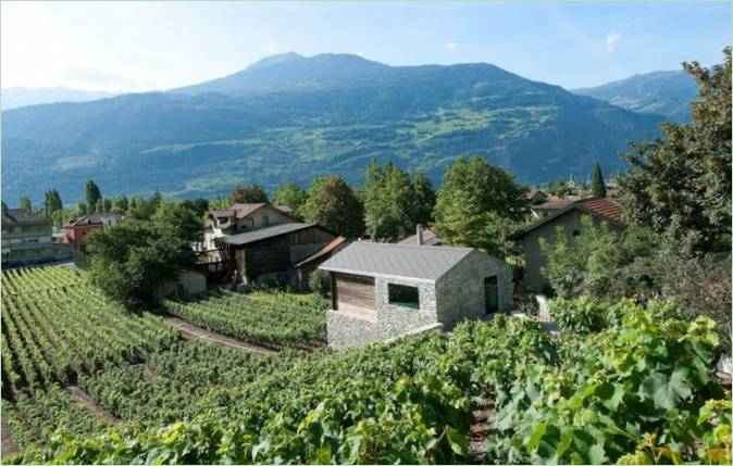 Wijngaarden bij het landhuis Hermanier in Zwitserland