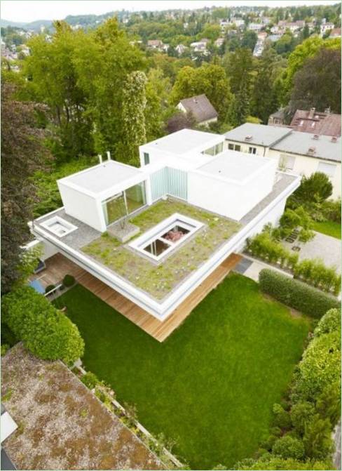 Groen dak huis