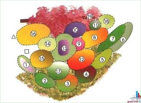 Schema van een doorlopende bloeiende tuin