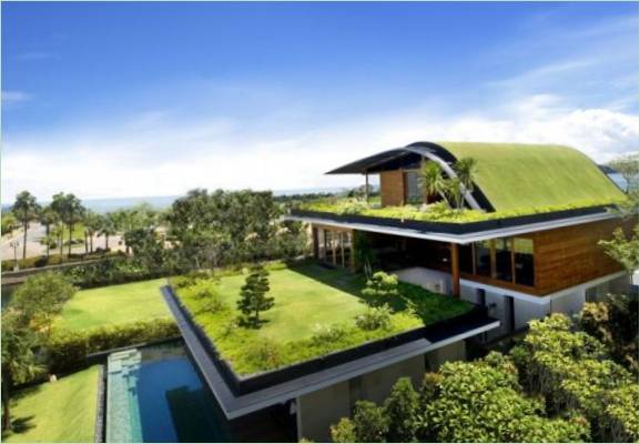 Het huis met een groen dak