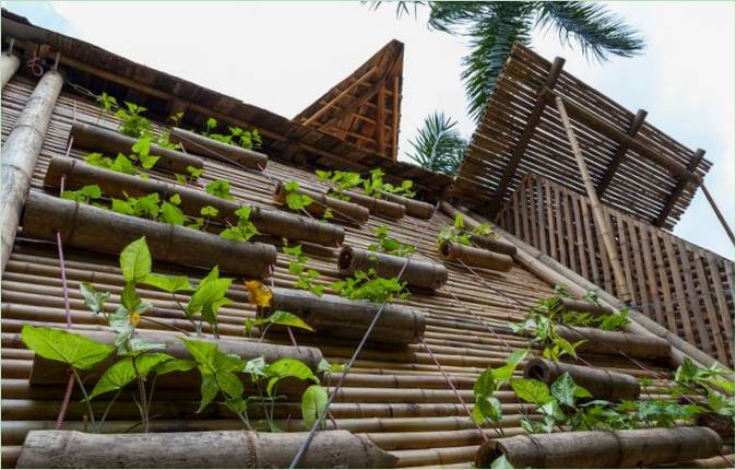 Een verticale tuin op de gevel van het BB Home bamboe huis