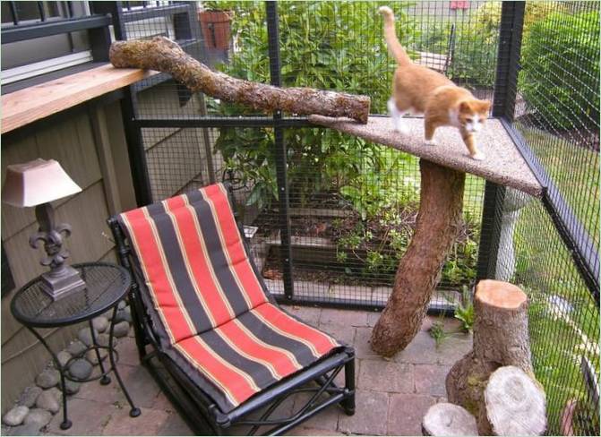 Speelruimte voor katten met een fauteuil en een tafel